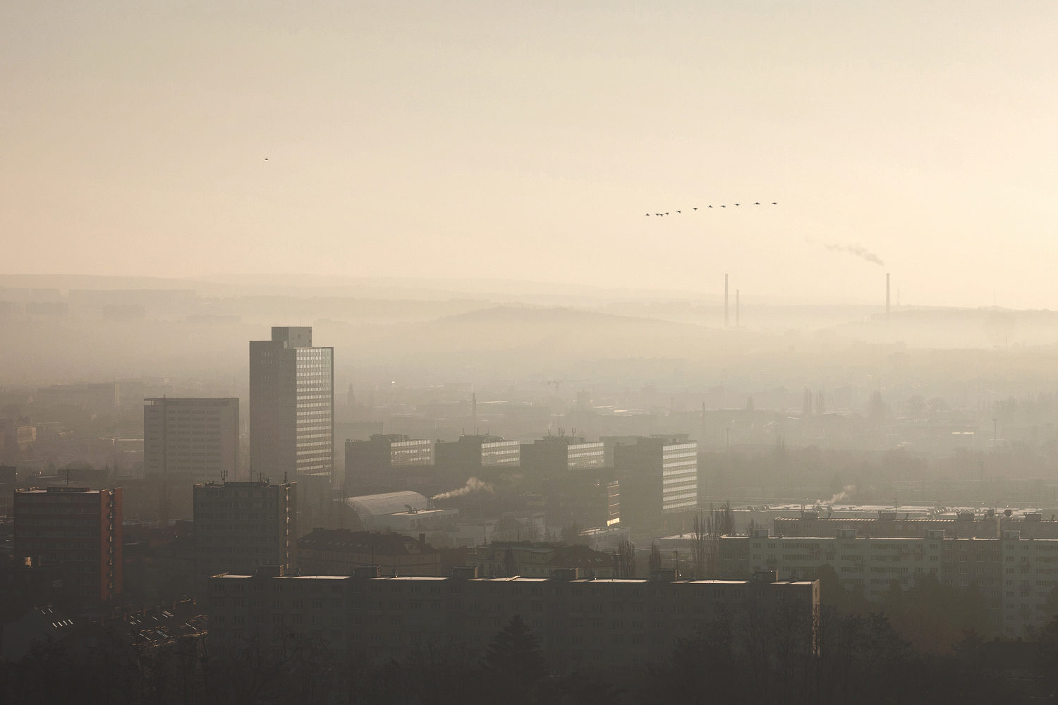 Vychod Slunce Brno | Jen tak | Roman Kozák